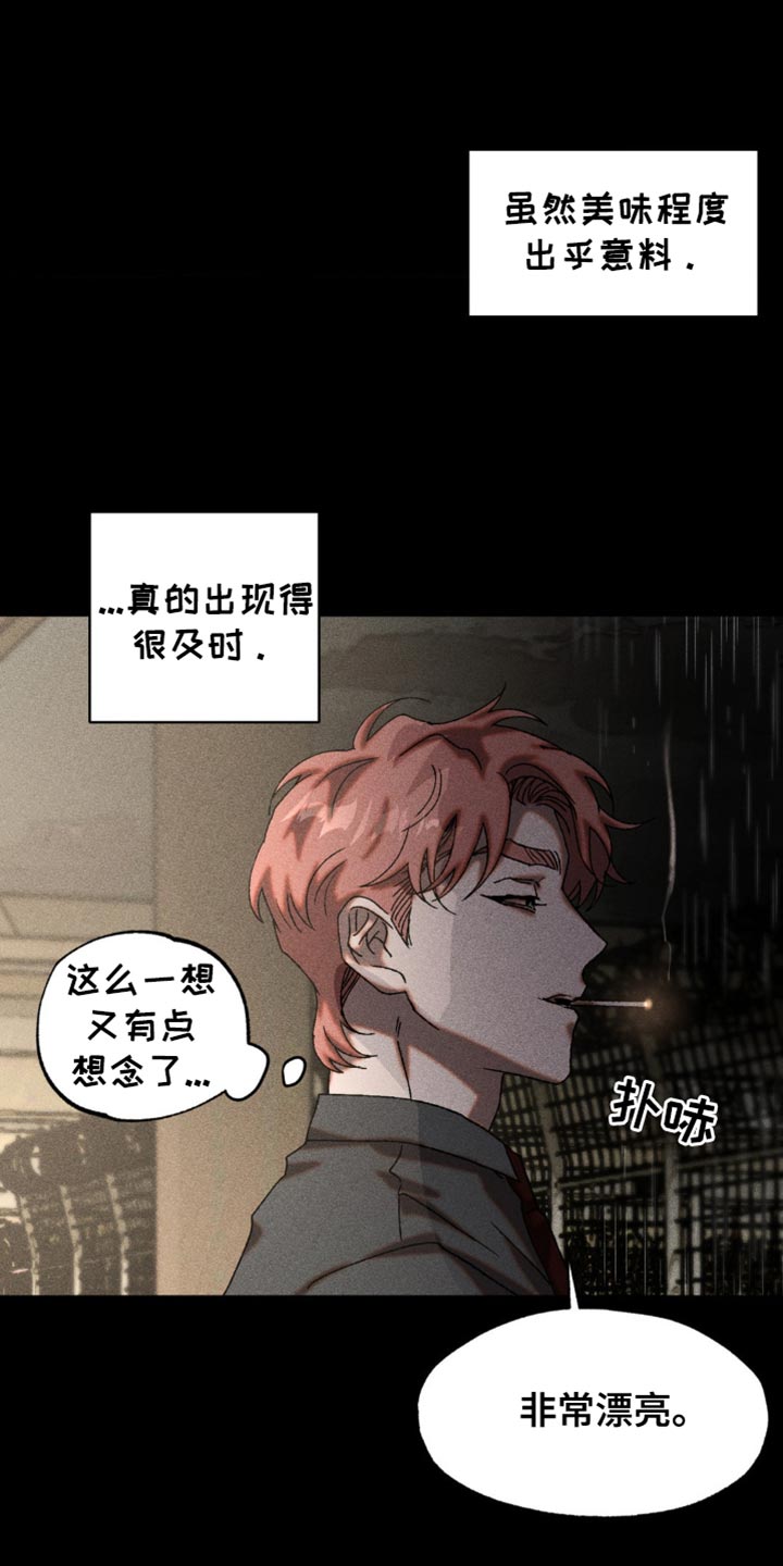 第27章：最佳的诱饵0