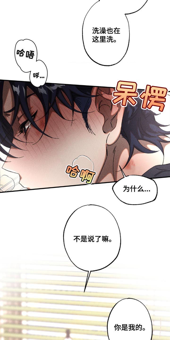 第25章：可爱的问题0