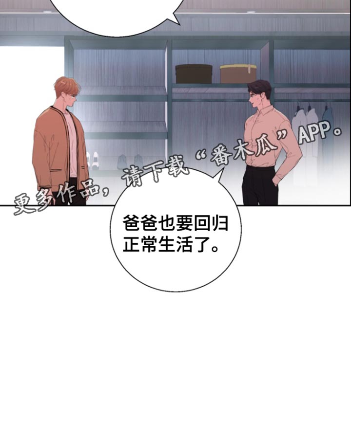 反向查找函数漫画,第25章：回归正常生活5图