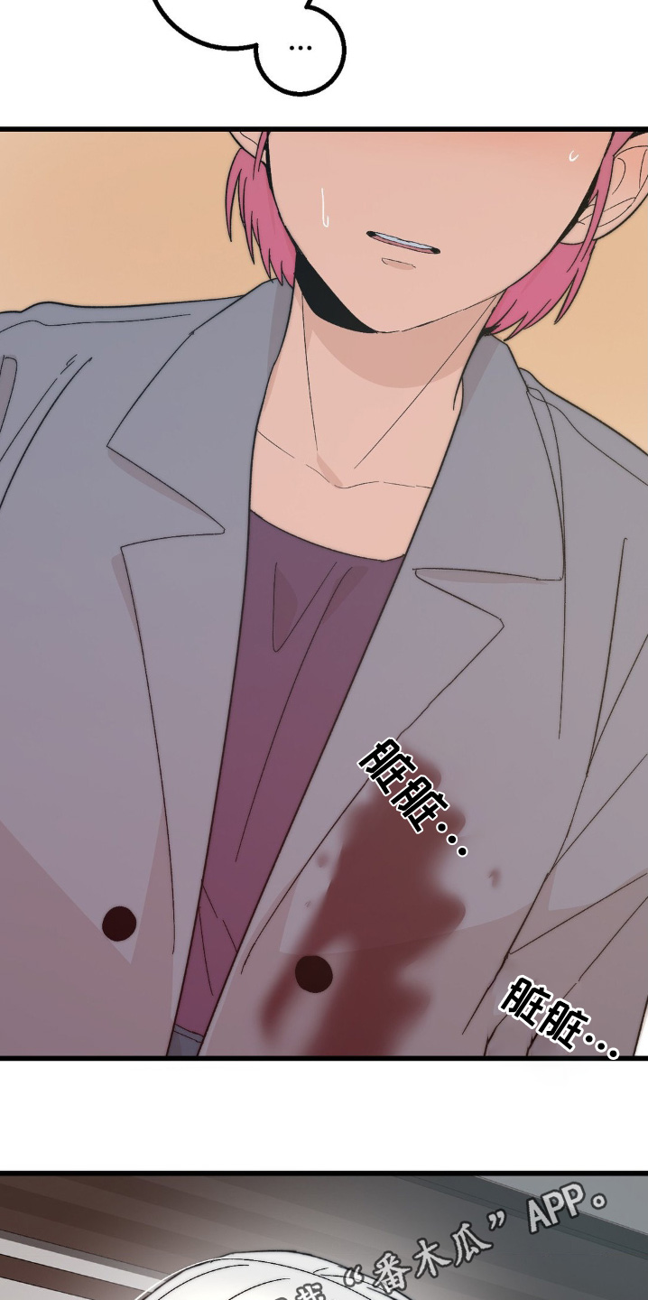 甜蜜攻略陆总前妻太傲娇短剧免费观看全集漫画,第29章：很对不起2图