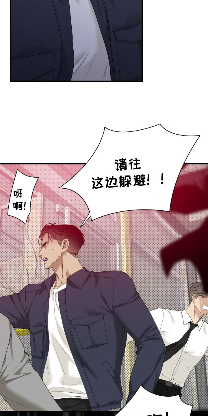 亲爱的夏娃漫画,第27章：必须逃跑5图