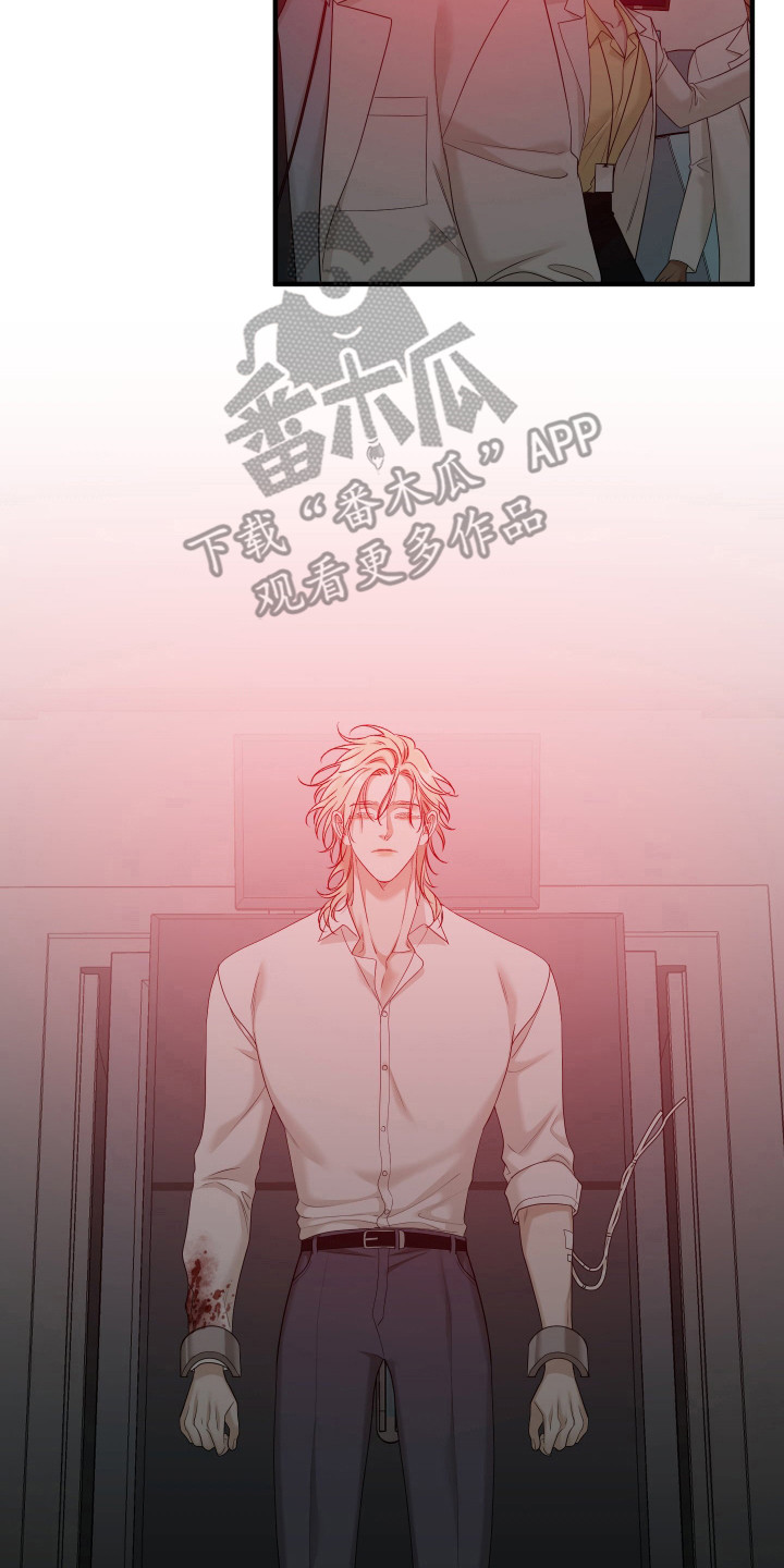 亲爱的夏娃漫画,第27章：必须逃跑1图