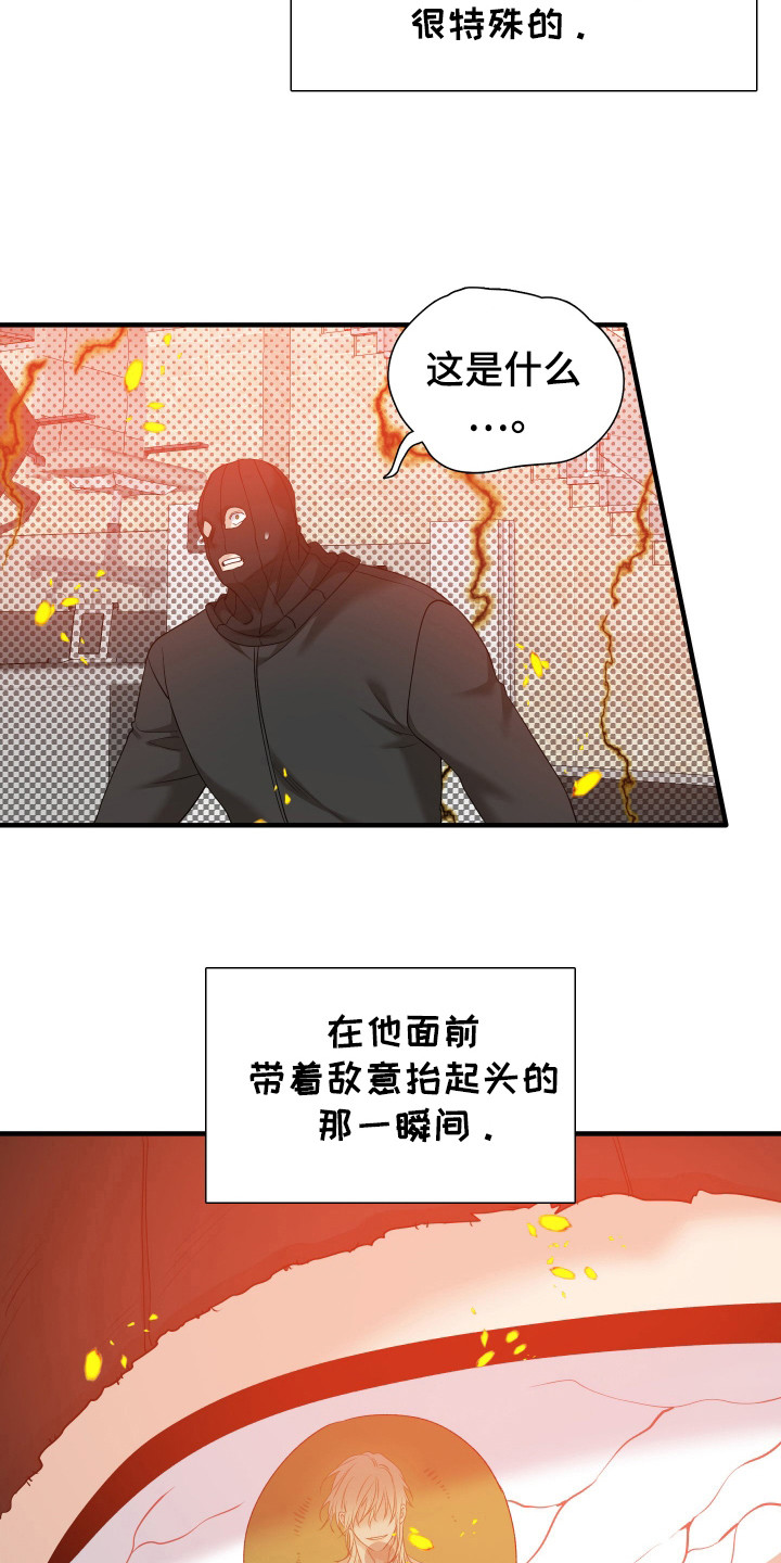 亲爱的夏娃漫画,第27章：必须逃跑1图