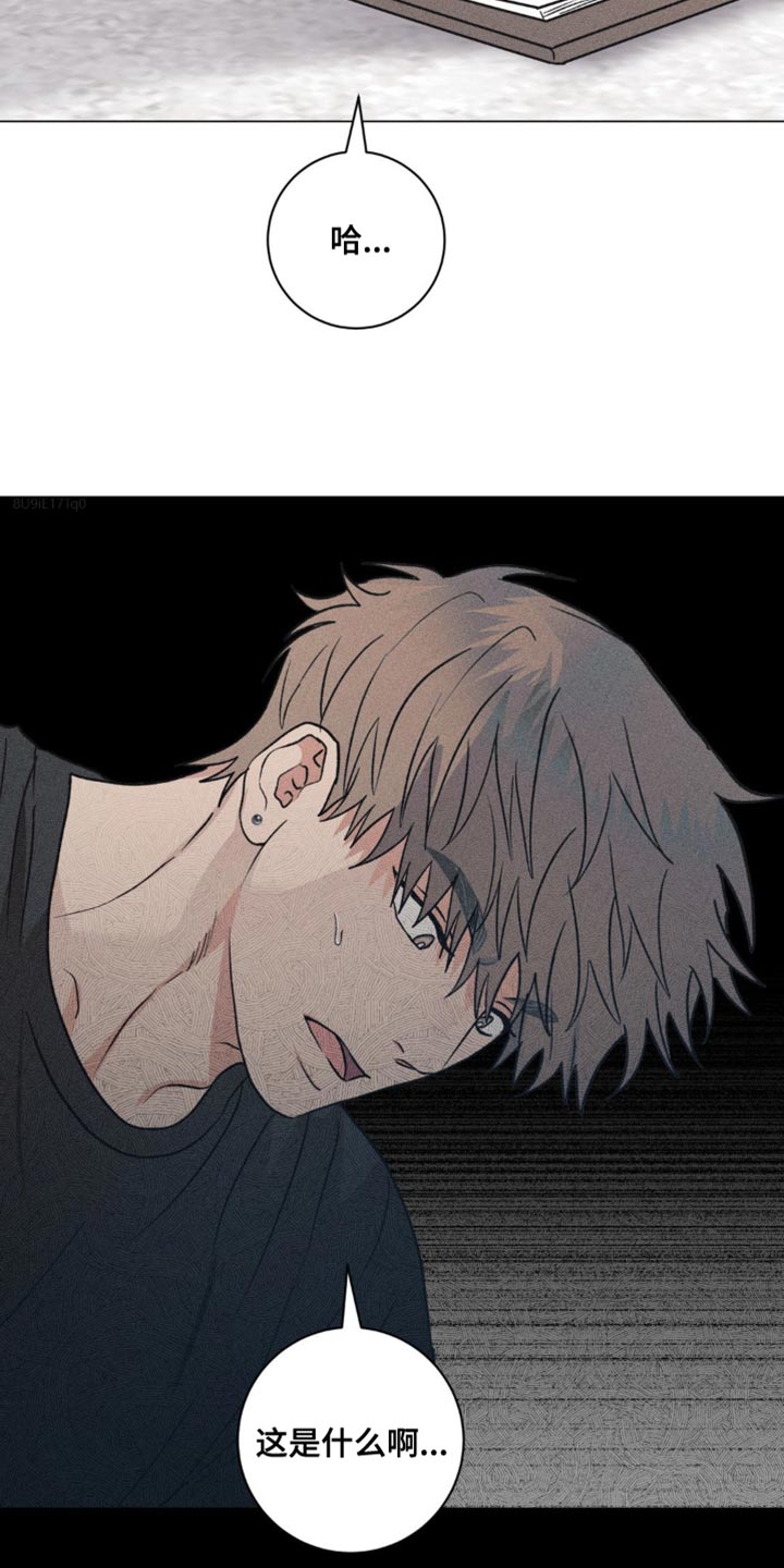 迟来的亲情比草贱短剧免费观看全集高清漫画,第33章：我的照片5图