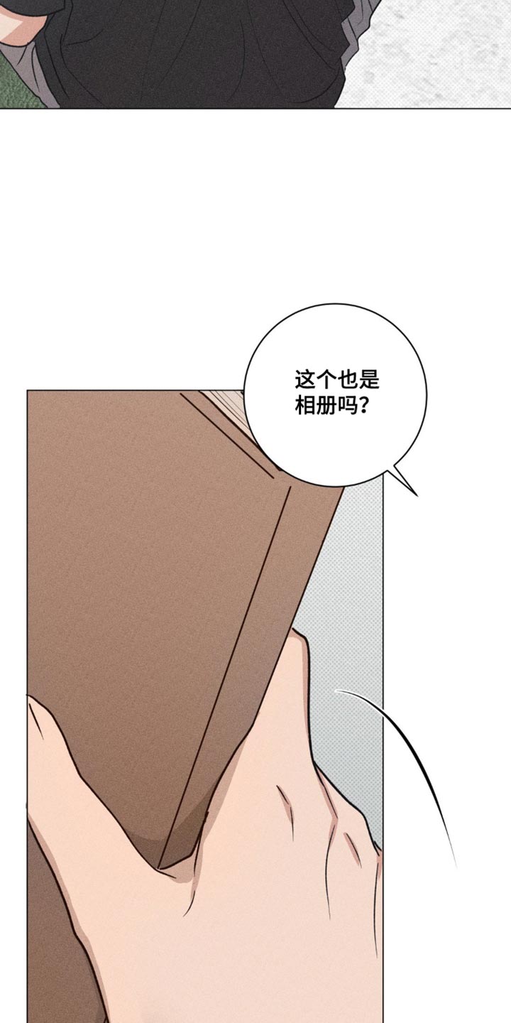 迟来的亲情比草贱短剧免费观看全集高清漫画,第33章：我的照片2图