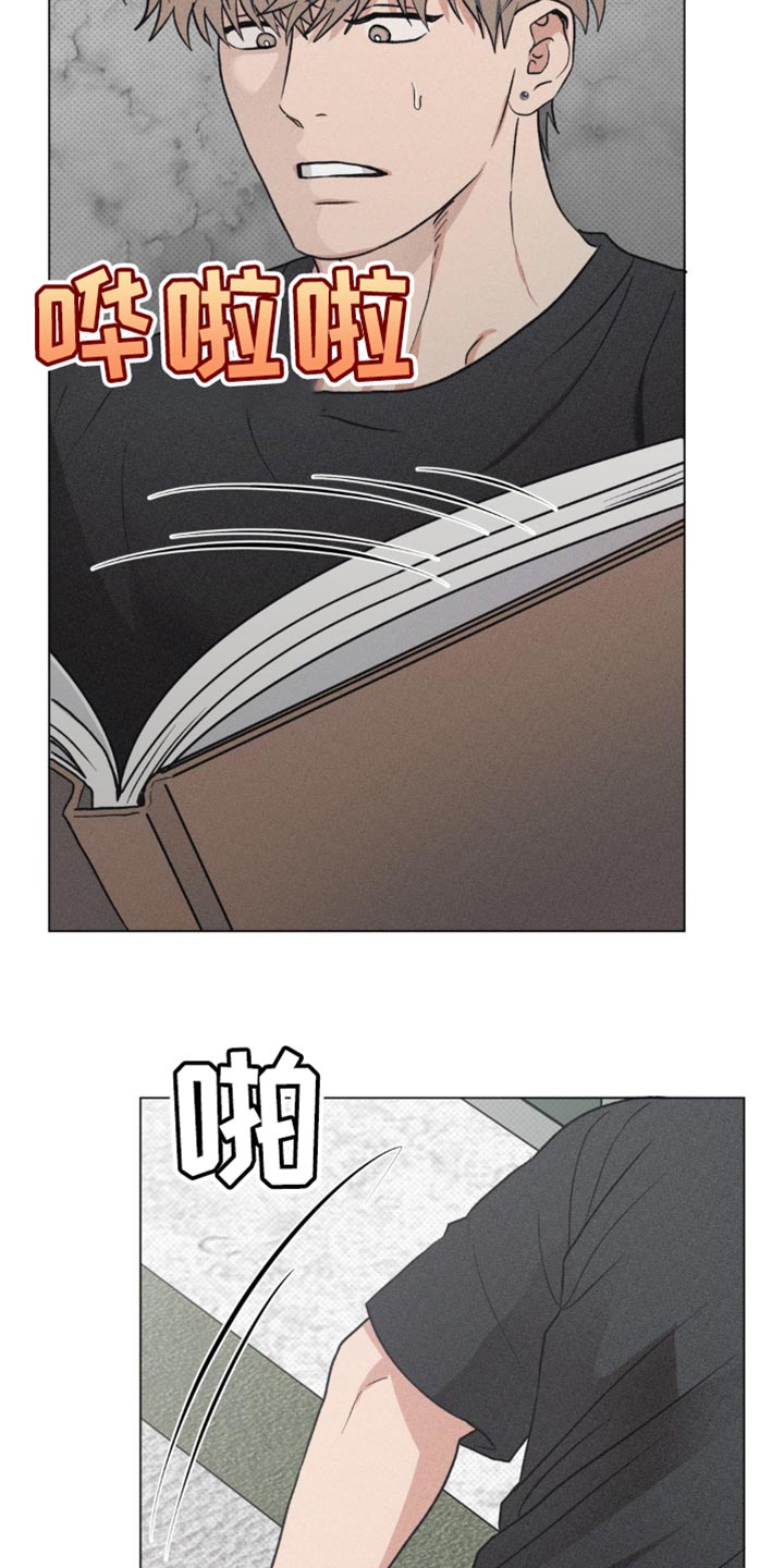 迟来的亲情比草贱短剧免费观看全集高清漫画,第33章：我的照片3图