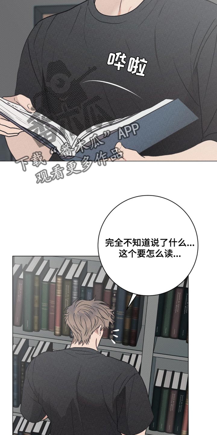 迟来的亲情比草贱短剧免费观看全集高清漫画,第33章：我的照片5图