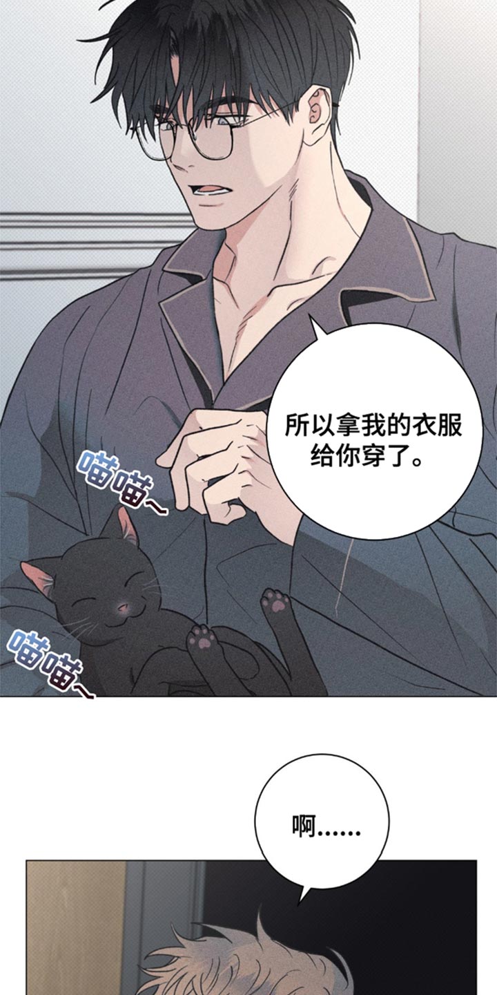 迟来的亲情比草贱短剧免费观看全集高清漫画,第30章：小猫咪4图