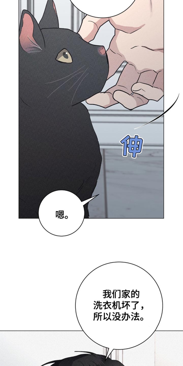 迟来的亲情比草贱短剧免费观看全集高清漫画,第30章：小猫咪3图