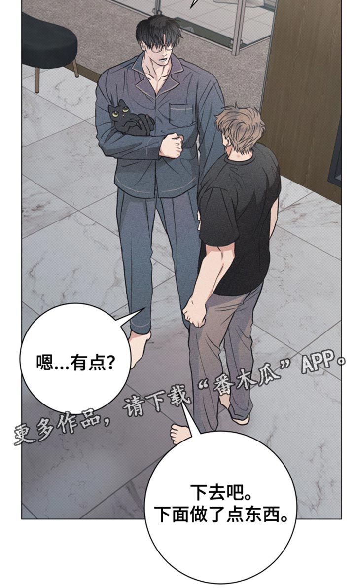 迟来的亲情比草贱短剧免费观看全集高清漫画,第30章：小猫咪1图