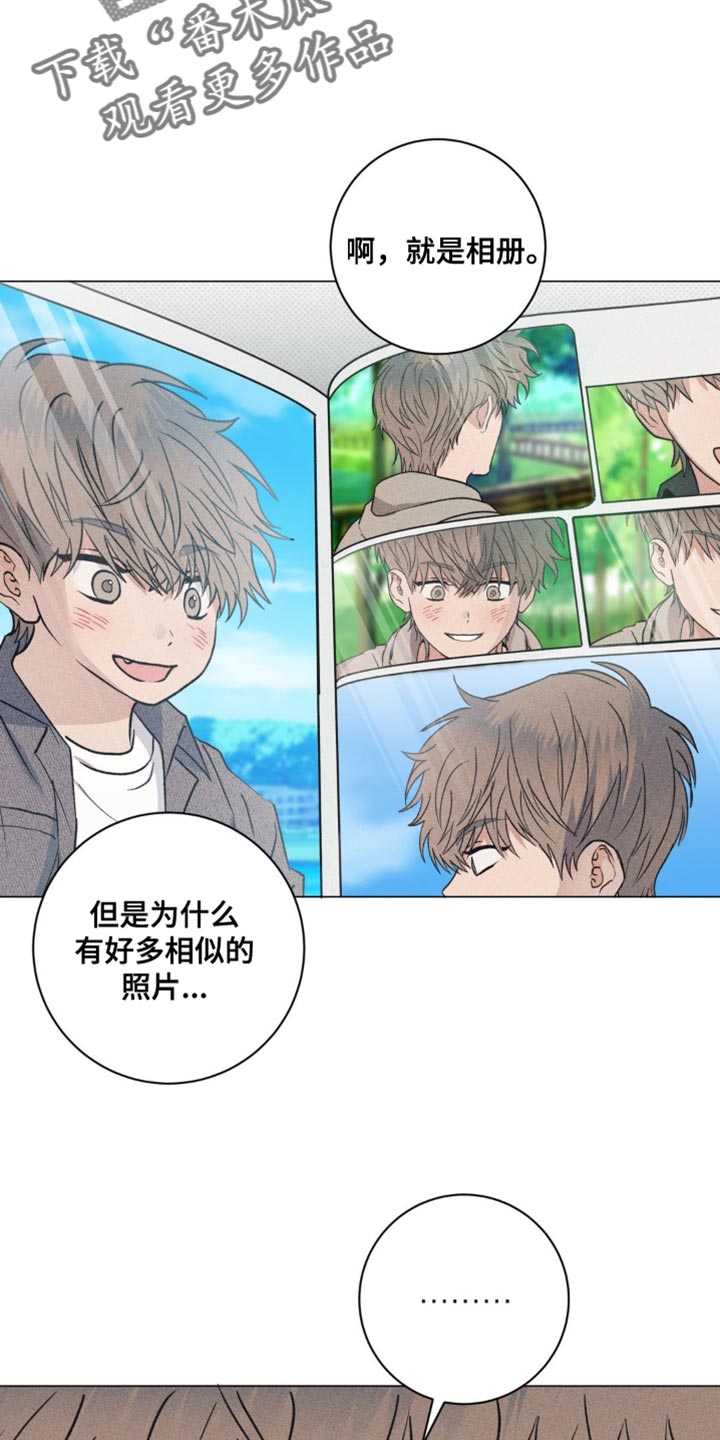 迟来的亲情比草贱短剧免费观看全集高清漫画,第33章：我的照片4图