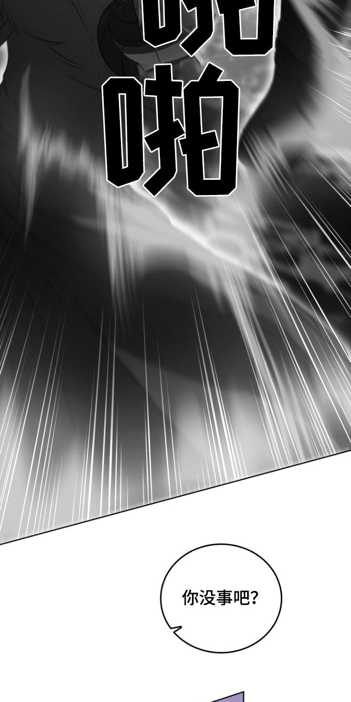 双重回血漫画,第40章：消灭3图