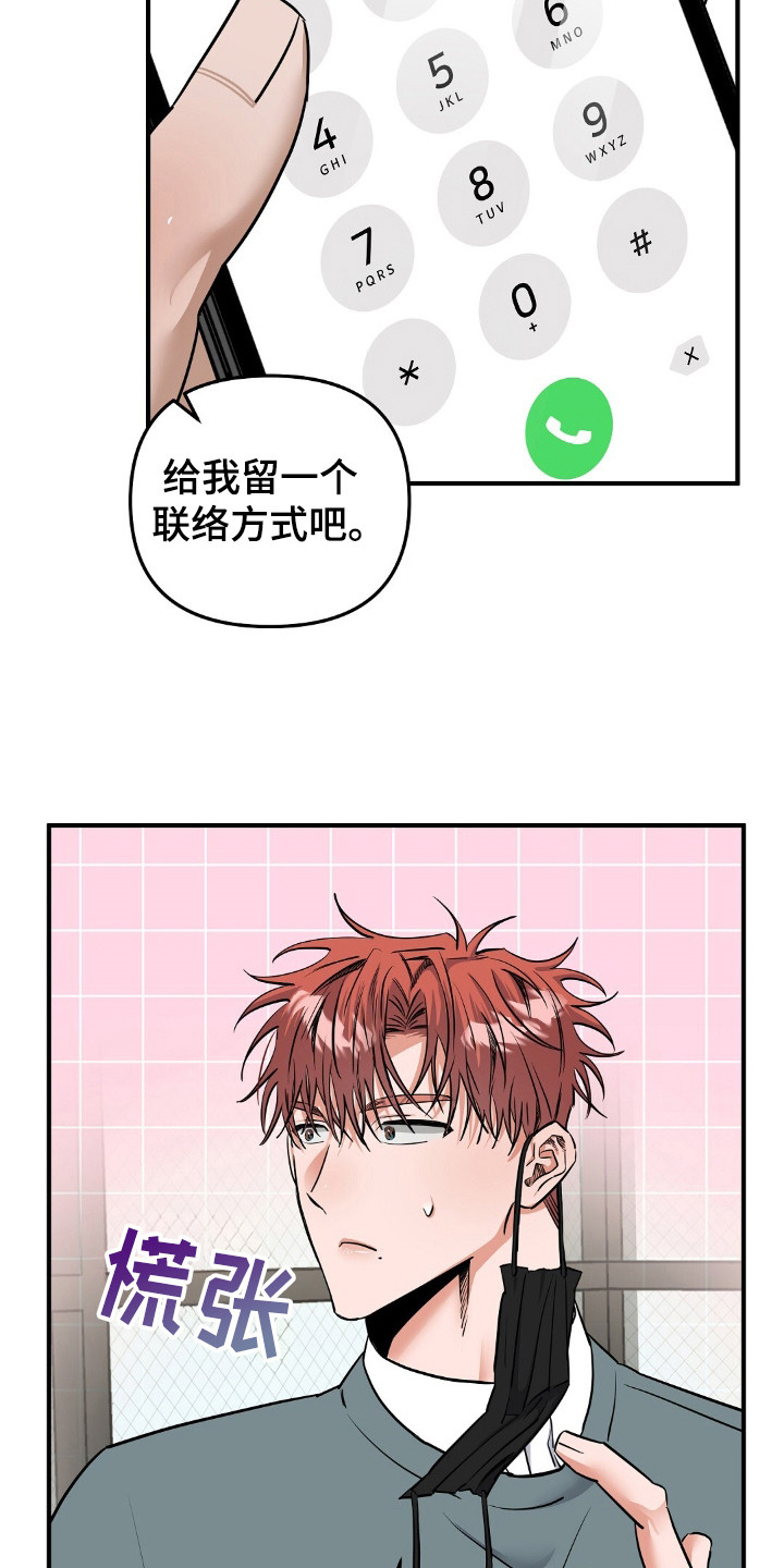摘下星星送给你漫画,第27章：联系方式4图