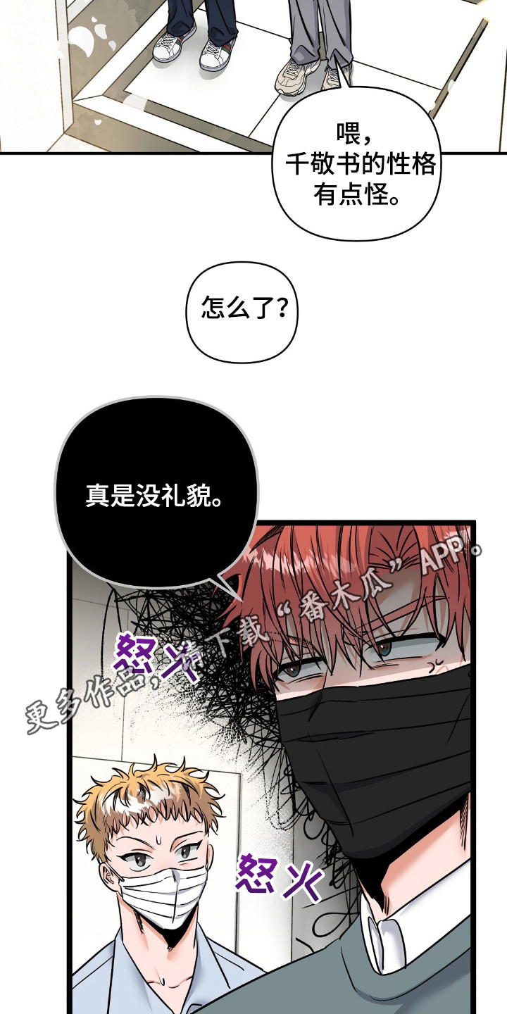摘下星星送给你漫画,第27章：联系方式3图