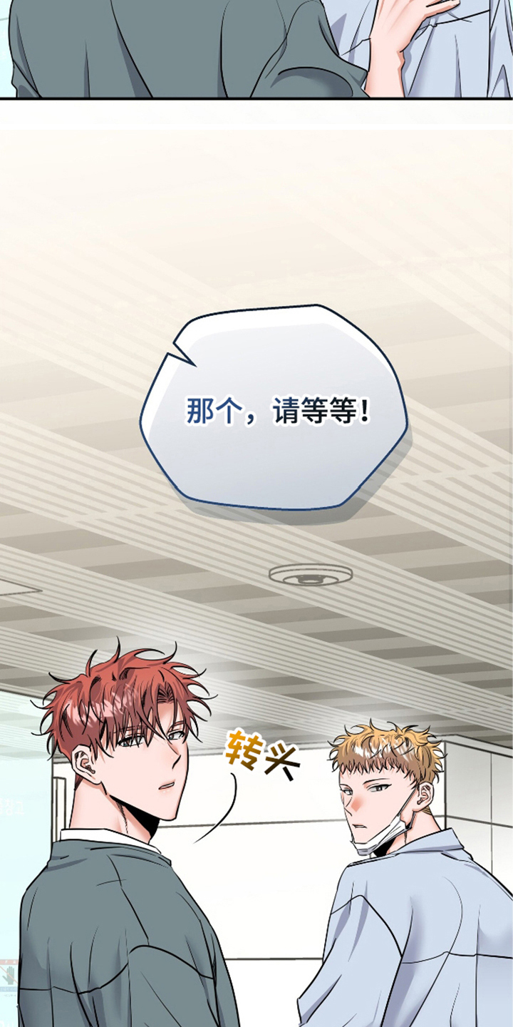 摘下星星送给你漫画,第23章：又对视了4图