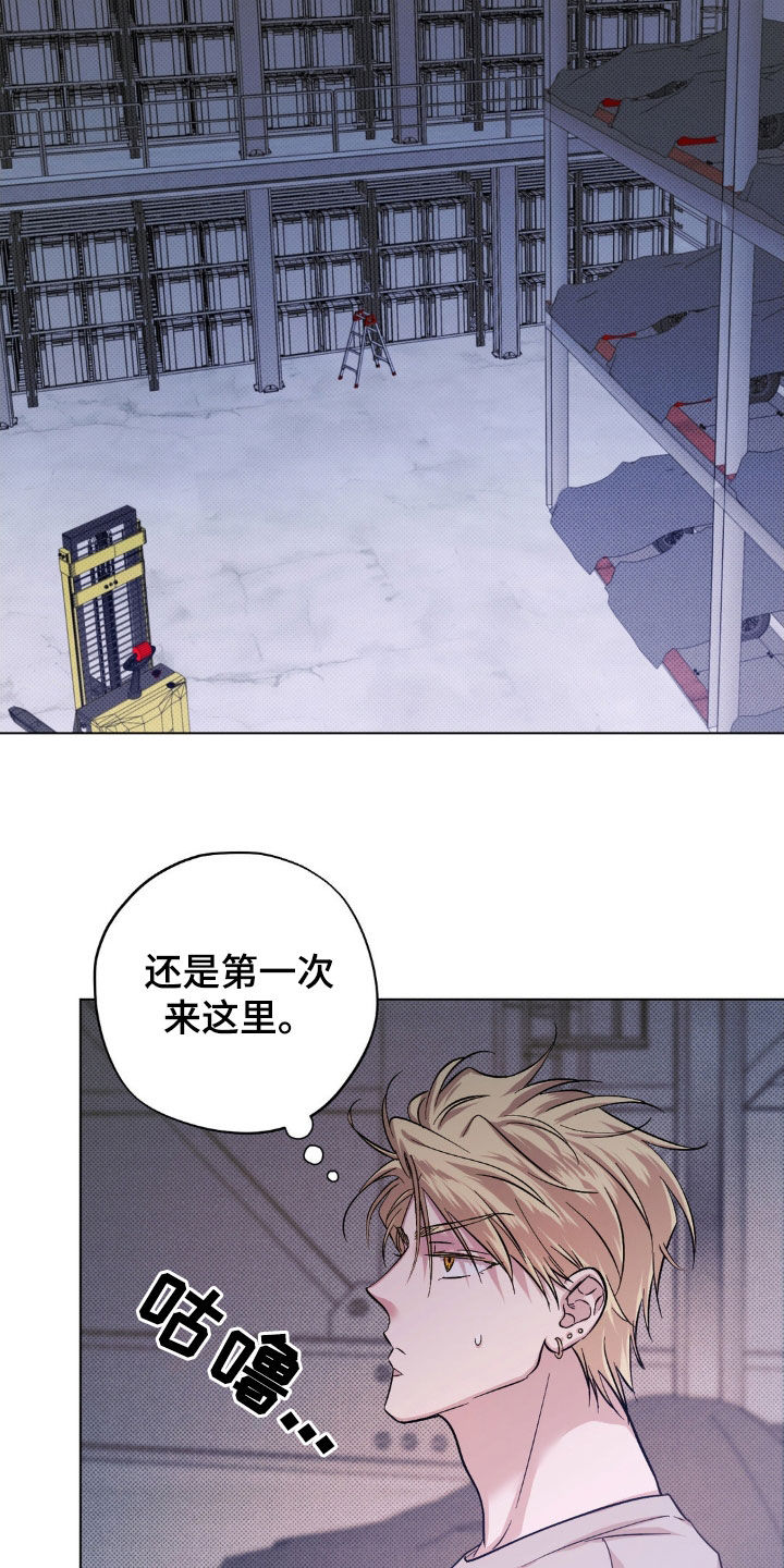 第24章：最后一次机会4