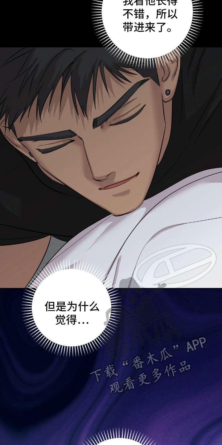 《赛道贵公子》设定介绍漫画,第21章：有些恶心5图