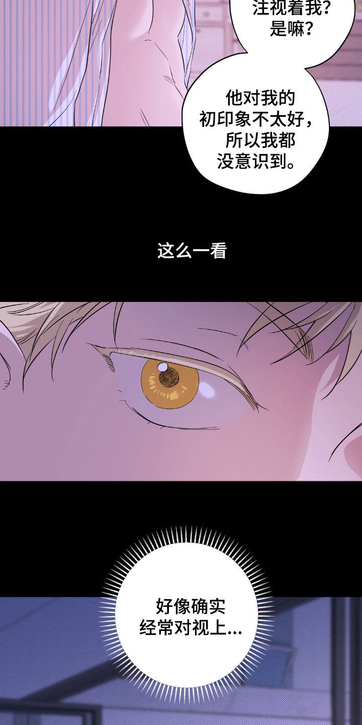 第16章：泳池派对2