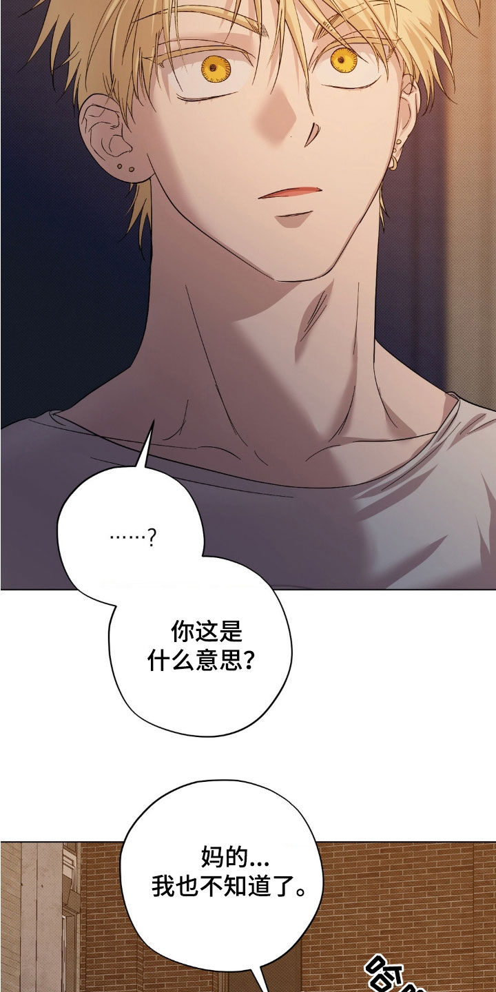 赛道贵公子漫画,第14章：你找谁不都一样4图