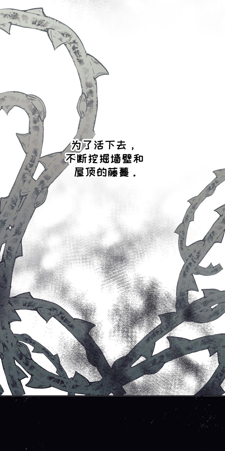 黑夫人受伤漫画,第31章：生命力4图