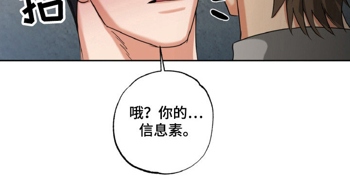 偷心发型师漫画,第24章：安静点2图