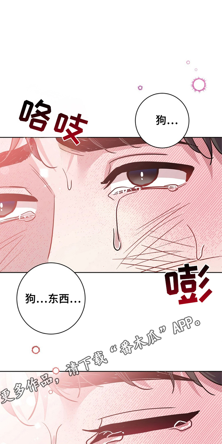 士官处罚规定漫画,第7章：最高权利者5图