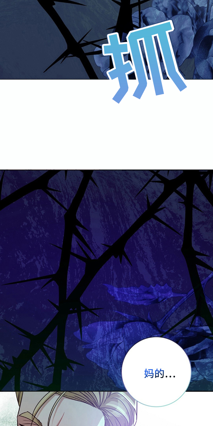 奇漫屋漫画下拉式奇漫屋漫画漫画,第8章：寄予希望1图