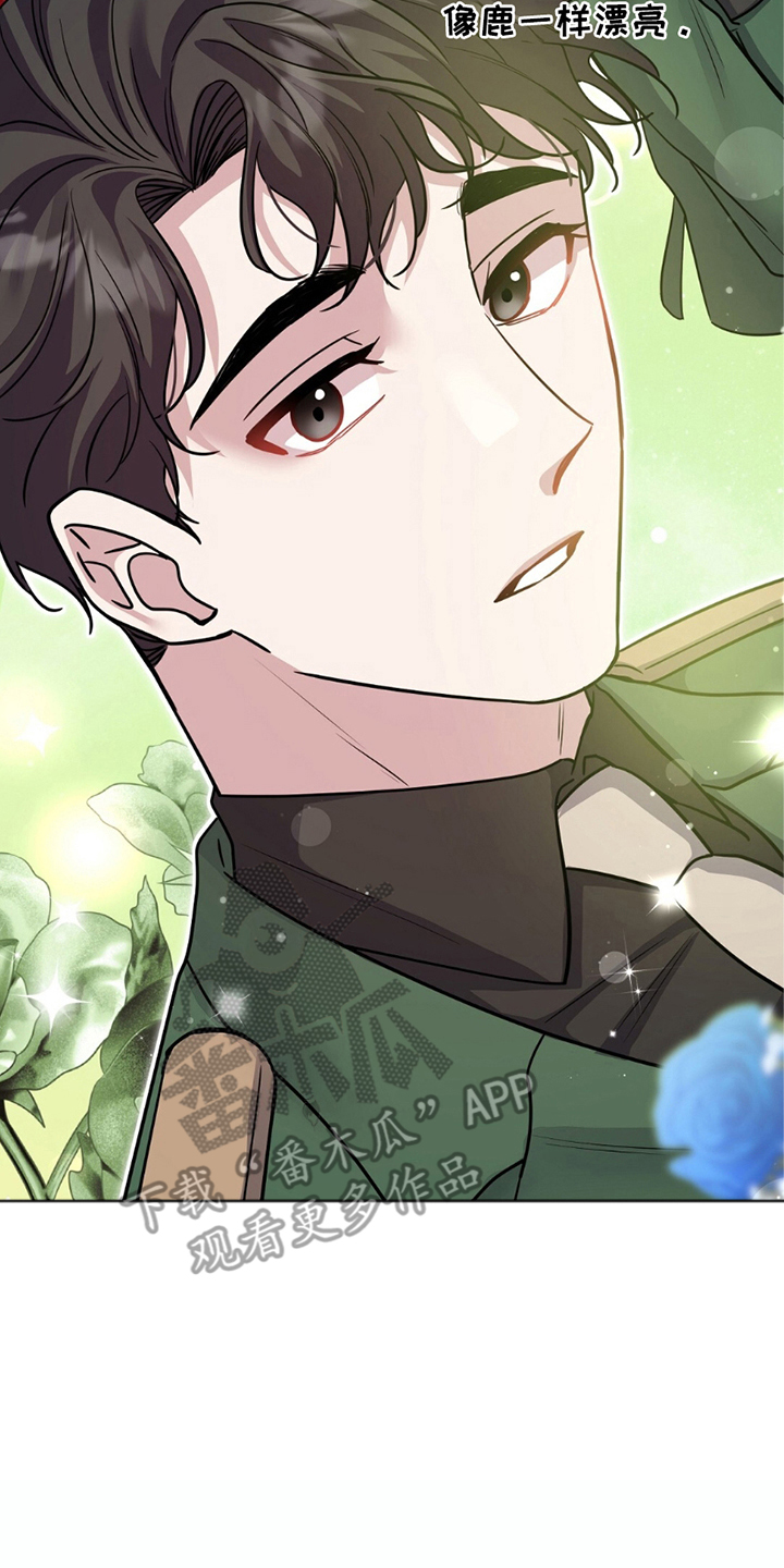 士官的家属能随军吗漫画,第9章：便利2图