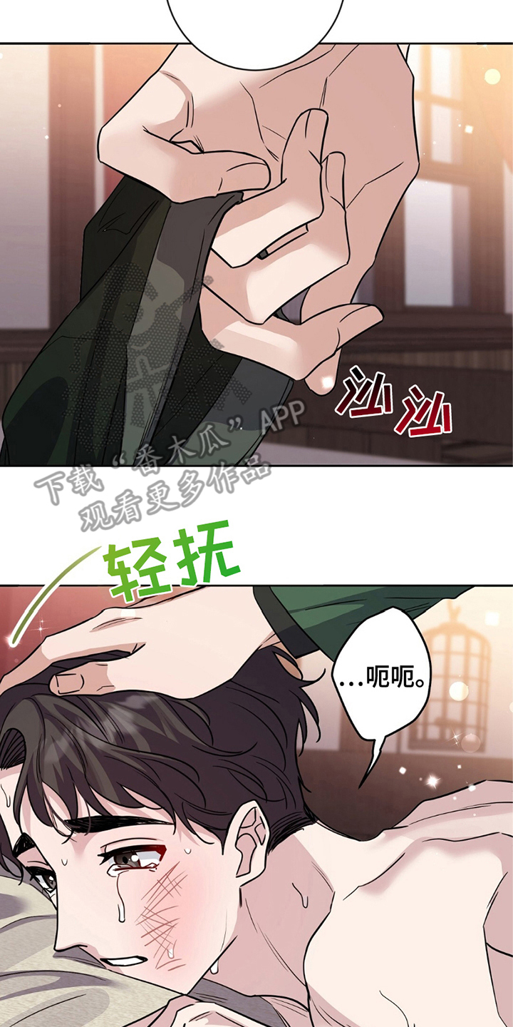 士官的家属能随军吗漫画,第6章：好好表现2图