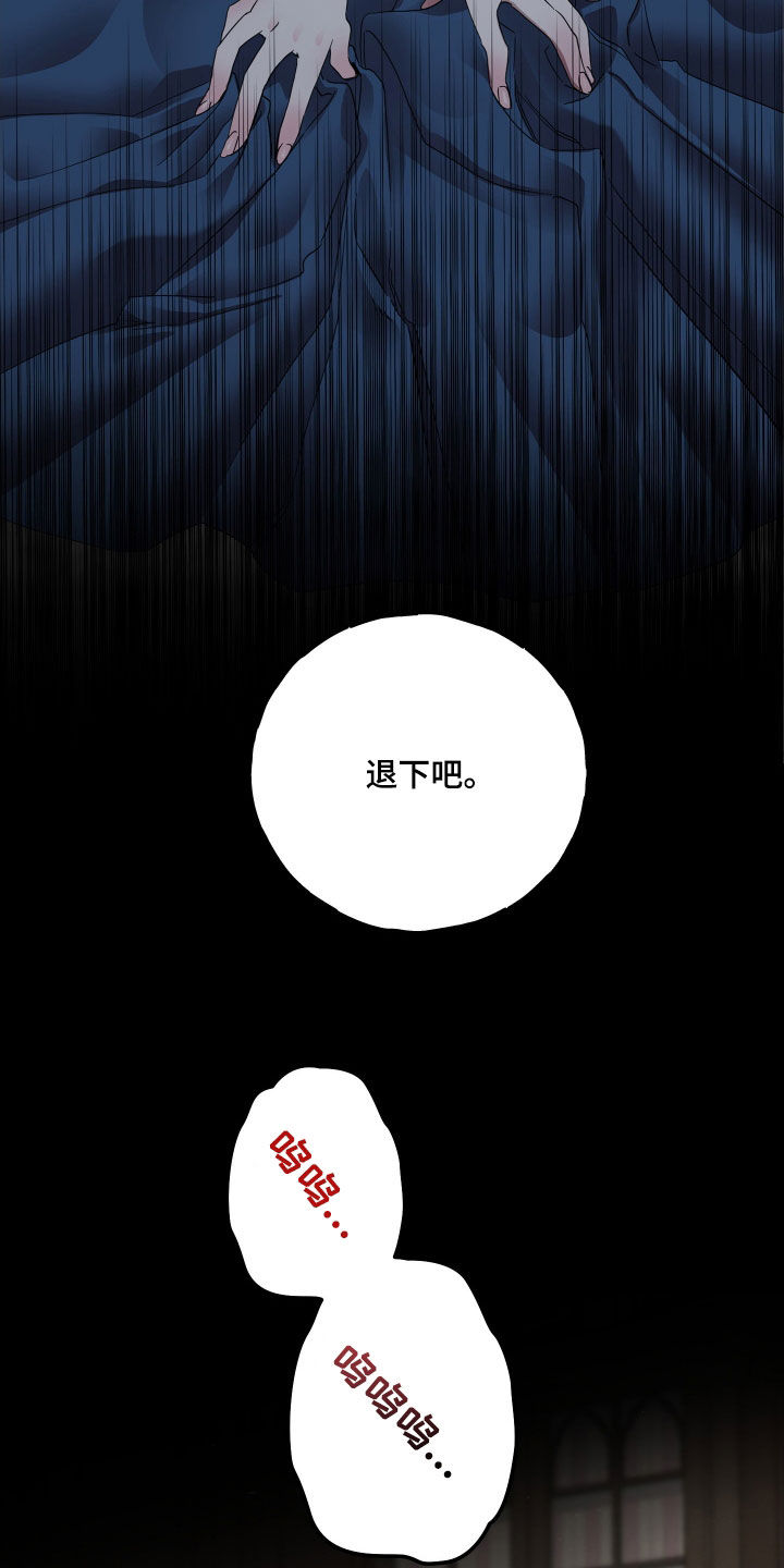 守护我女骑士漫画,第20章：障碍物2图