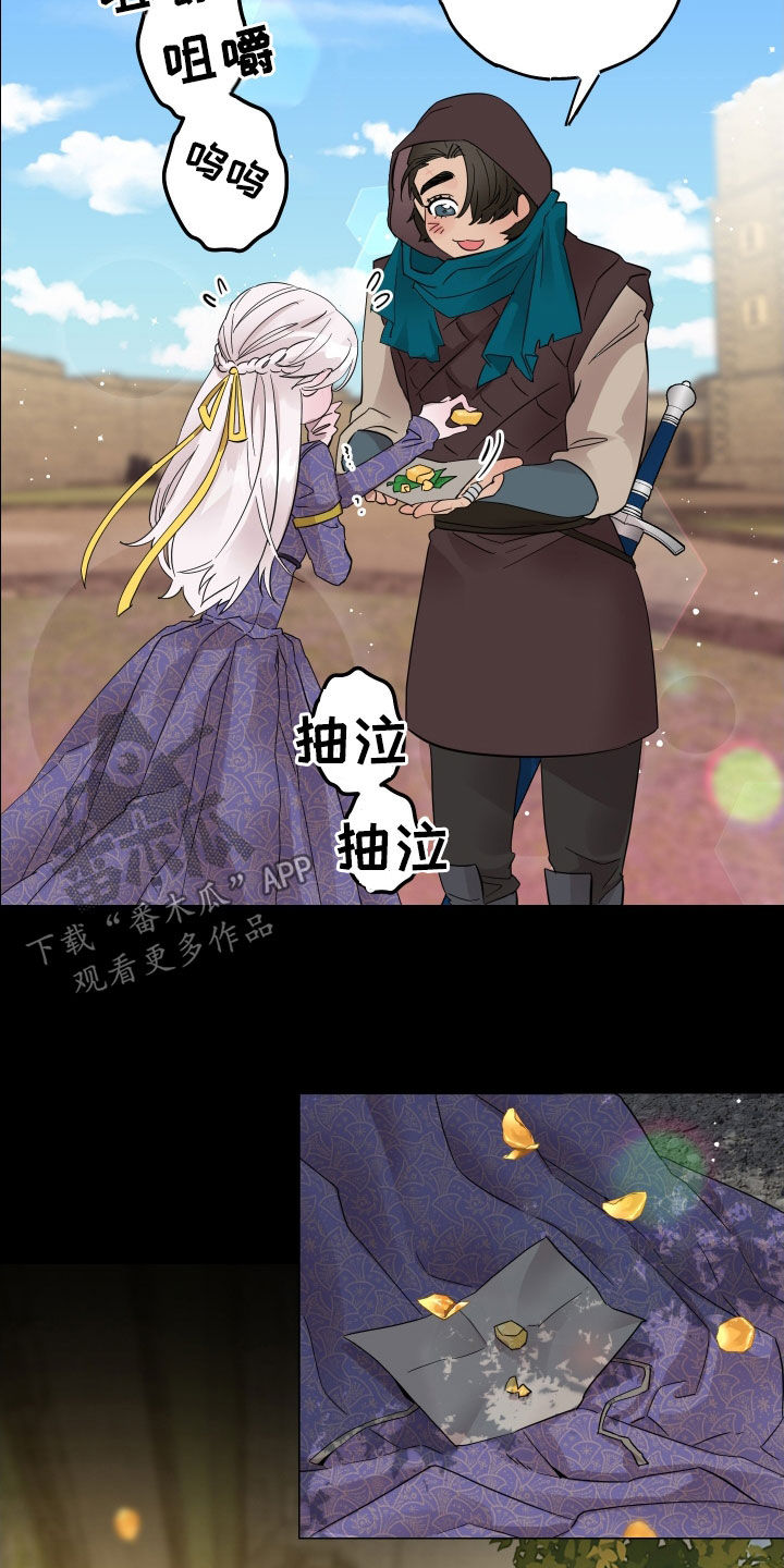 守护我女骑士漫画,第21章：逃离2图