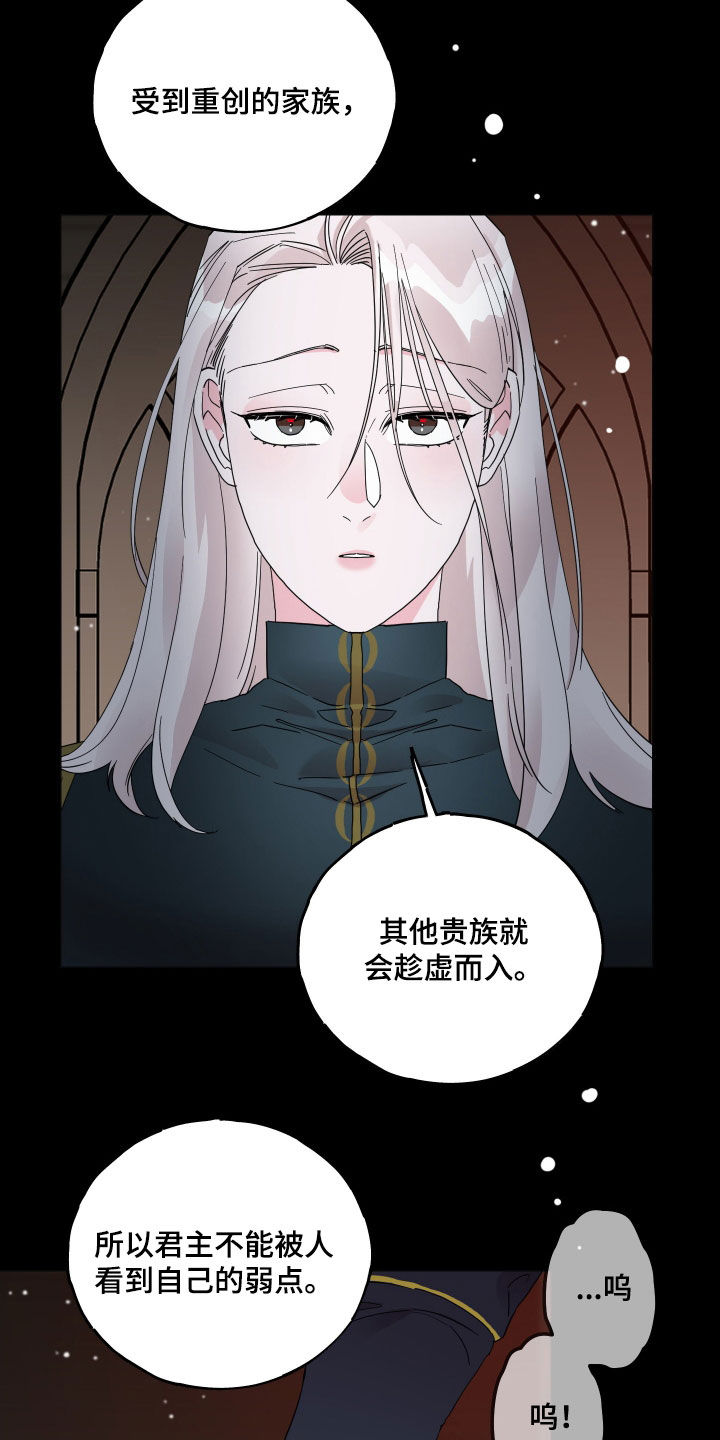 守护我女骑士漫画,第20章：障碍物4图