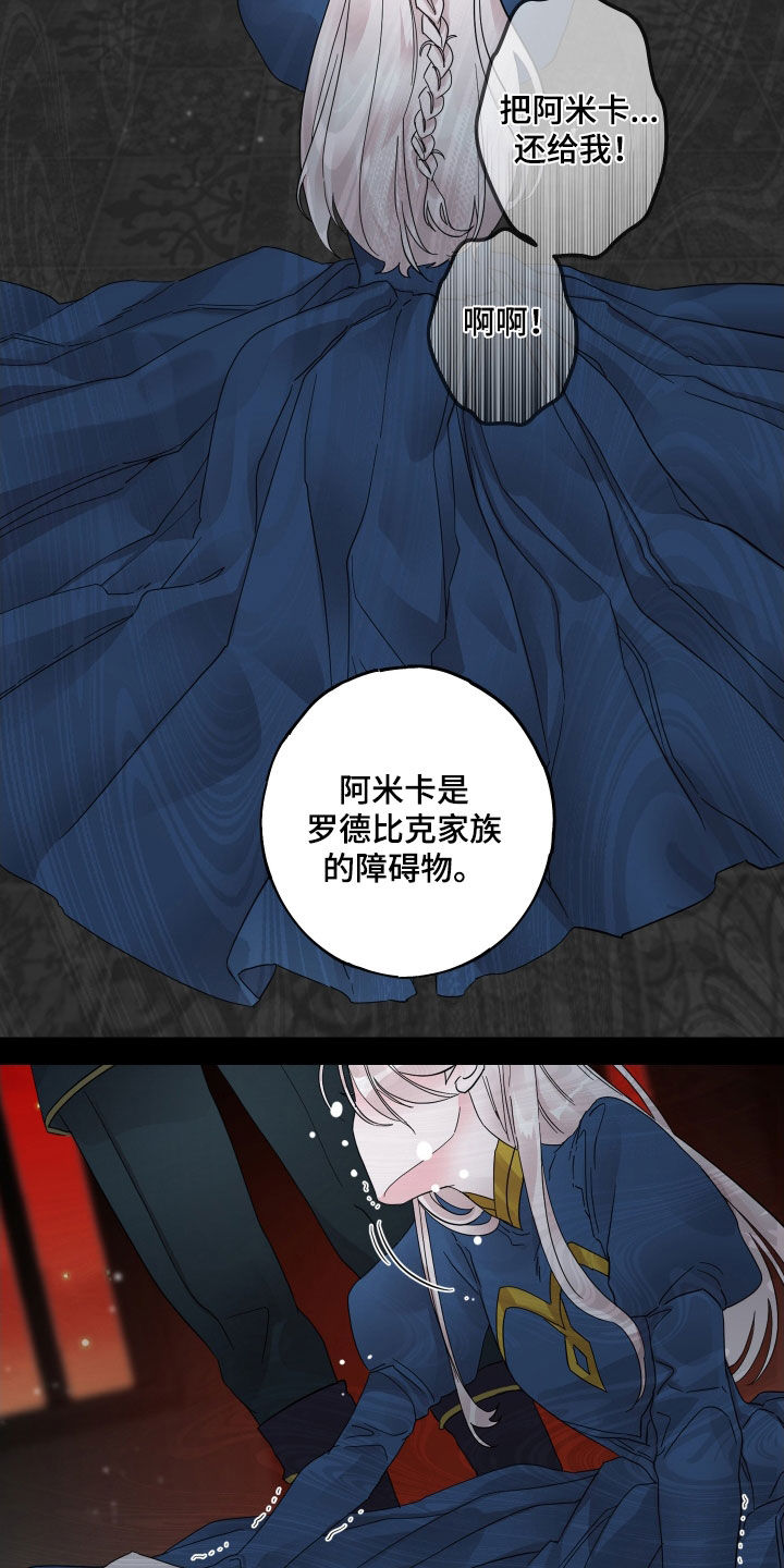 守护我女骑士漫画,第20章：障碍物3图