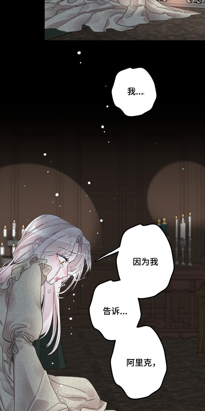 守护我女骑士漫画,第20章：障碍物4图