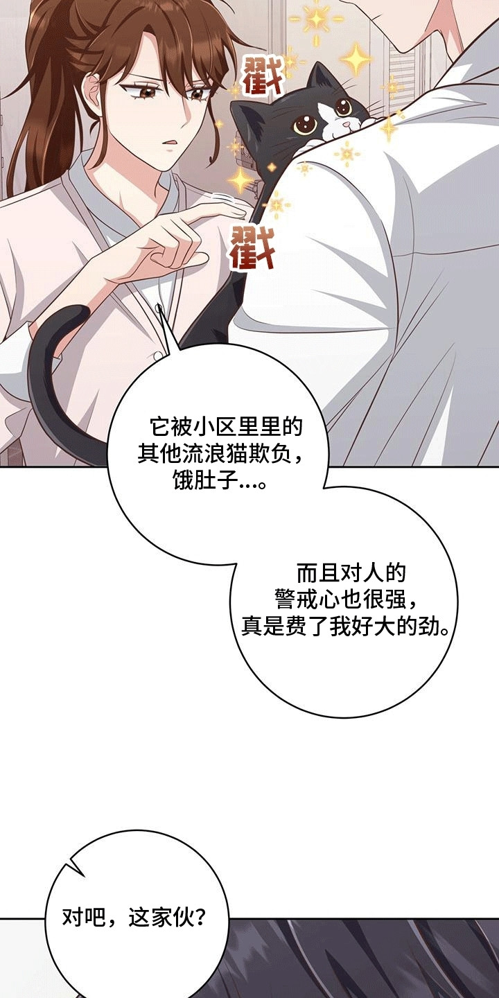 双重拥抱漫画,第24章：小猫咪1图