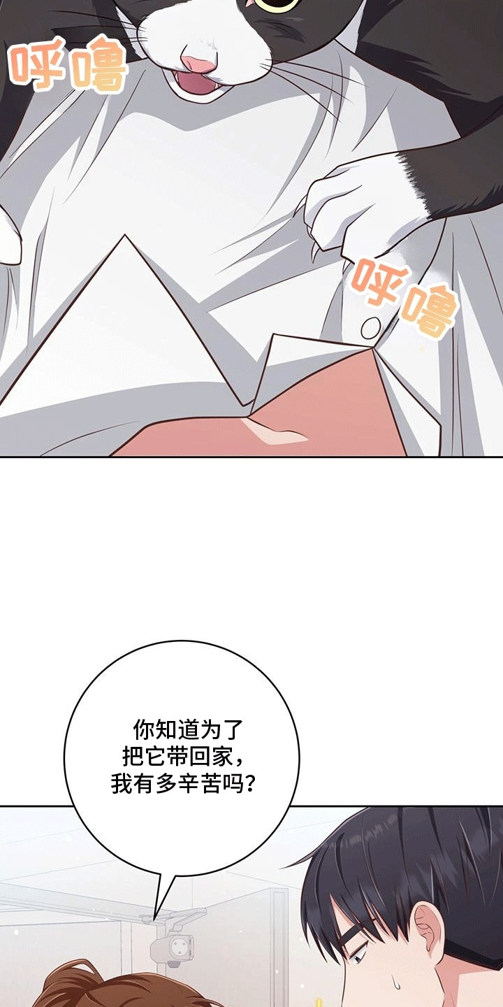 双重拥抱漫画,第24章：小猫咪5图