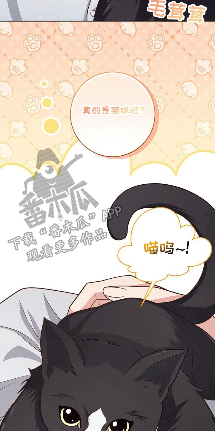双重拥抱漫画,第24章：小猫咪4图