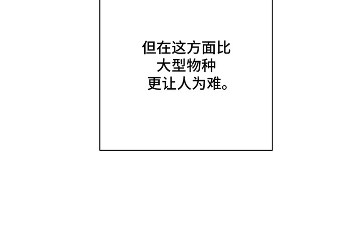 我的梦手抄报图片大全简单又漂亮漫画,第1章： 兽人在读生5图
