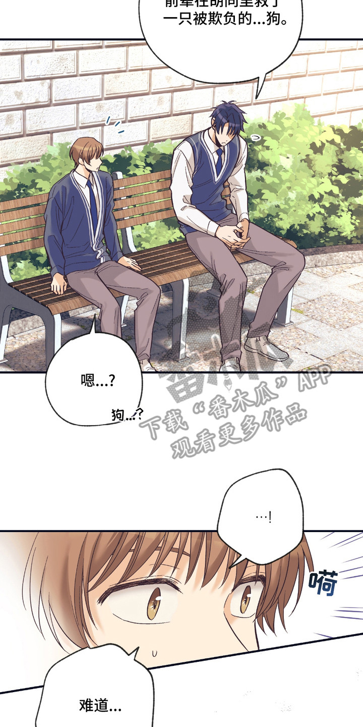 我的猛鬼新郎全文免费阅读漫画,第12章：解释2图