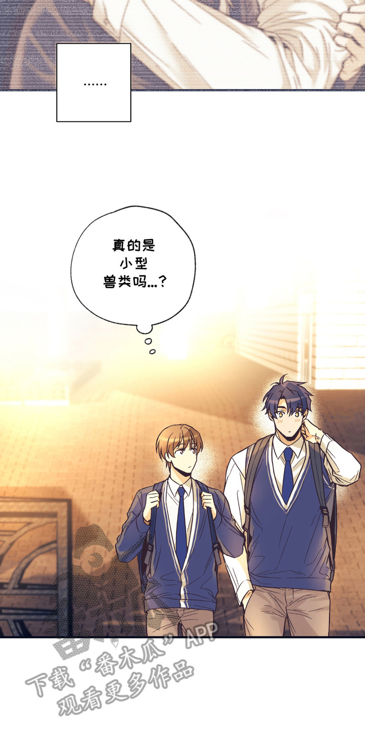 我的猛兽伴侣漫画,第5章：身体结实4图