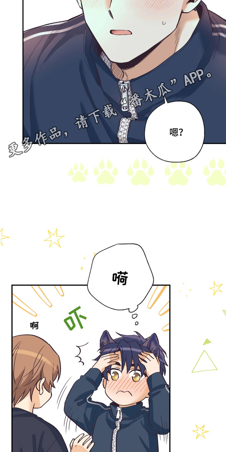 我的猛鬼新郎全文免费阅读漫画,第16章：耳朵与尾巴4图