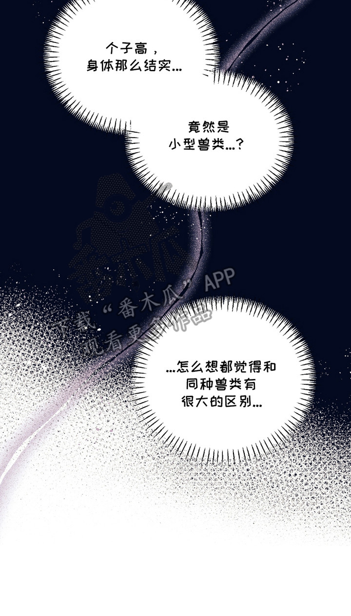 我的猛兽伴侣漫画,第5章：身体结实2图