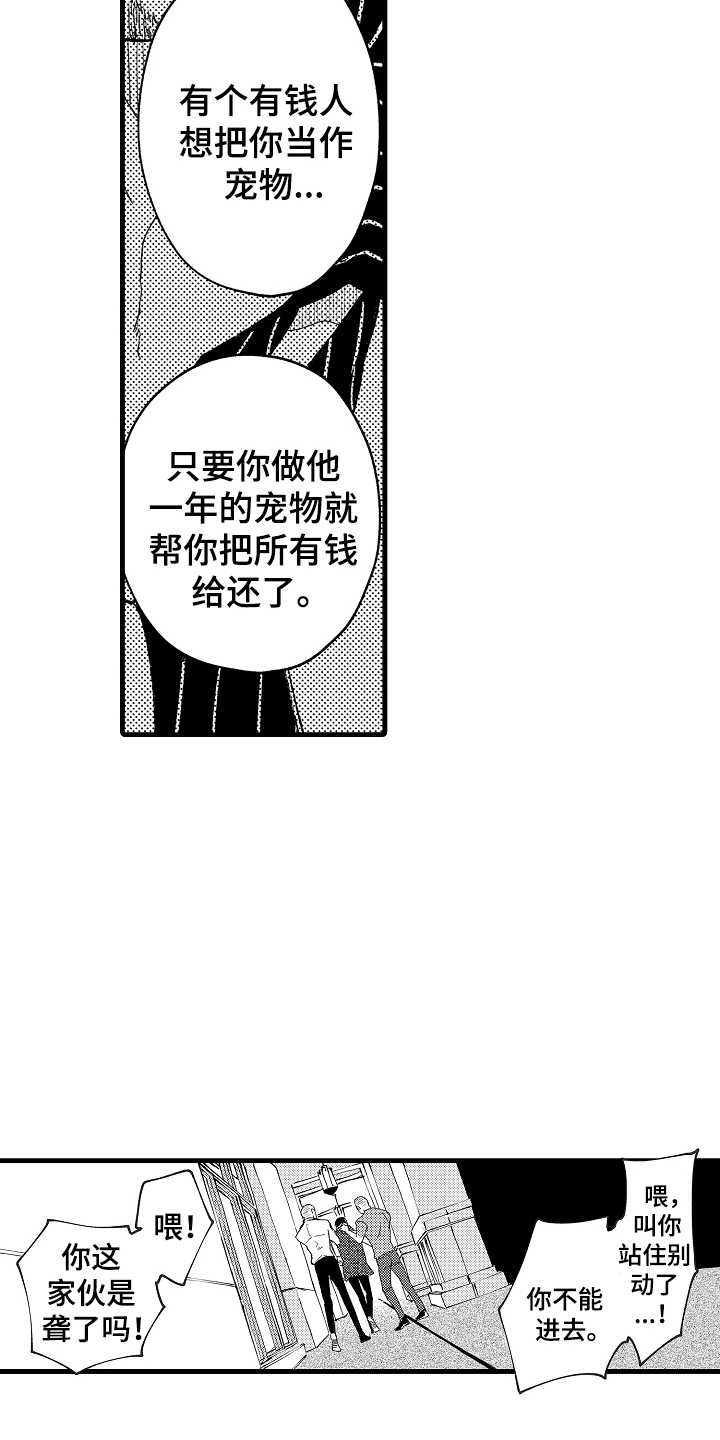 诺尔的情歌漫画,第11章：情绪激动1图