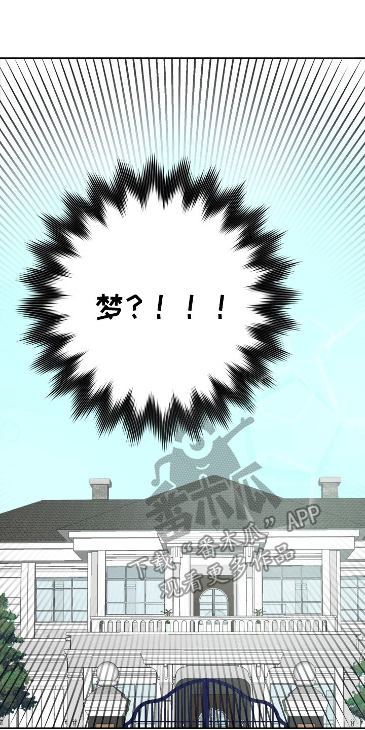 书呆子的双重生活小说漫画,第1章：梦境3图