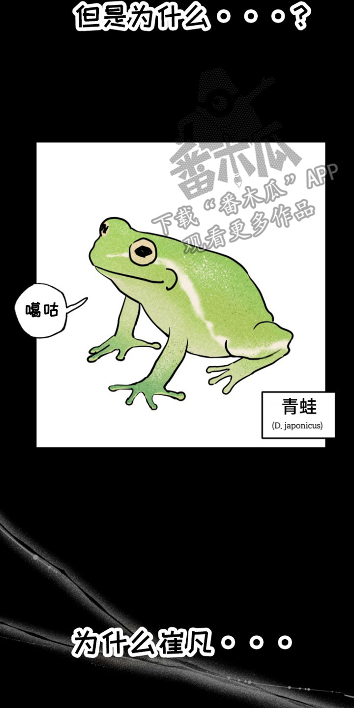 书呆子的双重生活漫画,第17章：同志5图