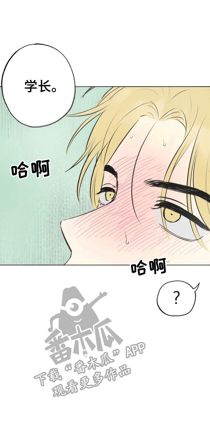 书呆子的双重生活漫画,第10章：帘子后的秘密3图