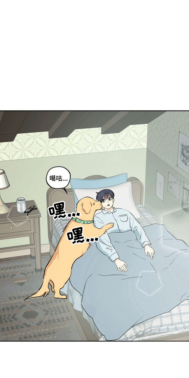 书呆子的双重生活小说漫画,第1章：梦境2图