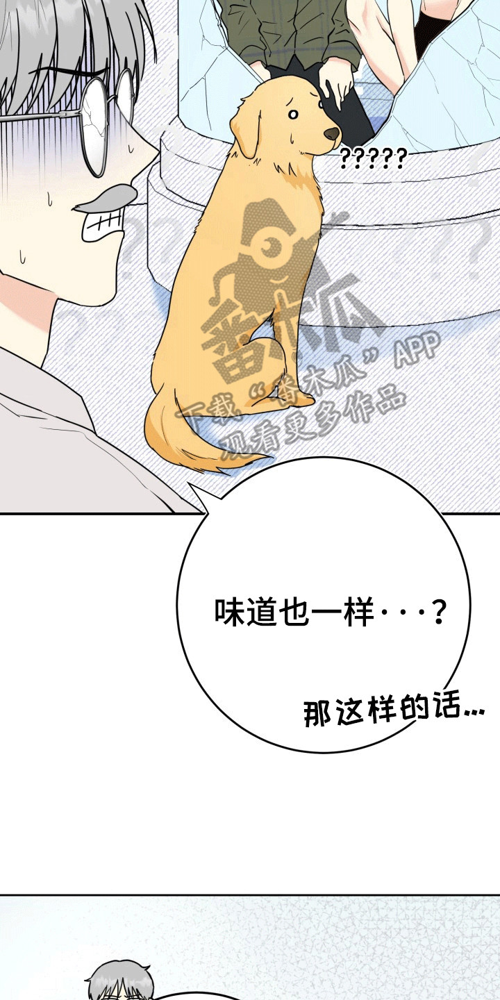 书呆子生活状态漫画,第4章：第二个我3图