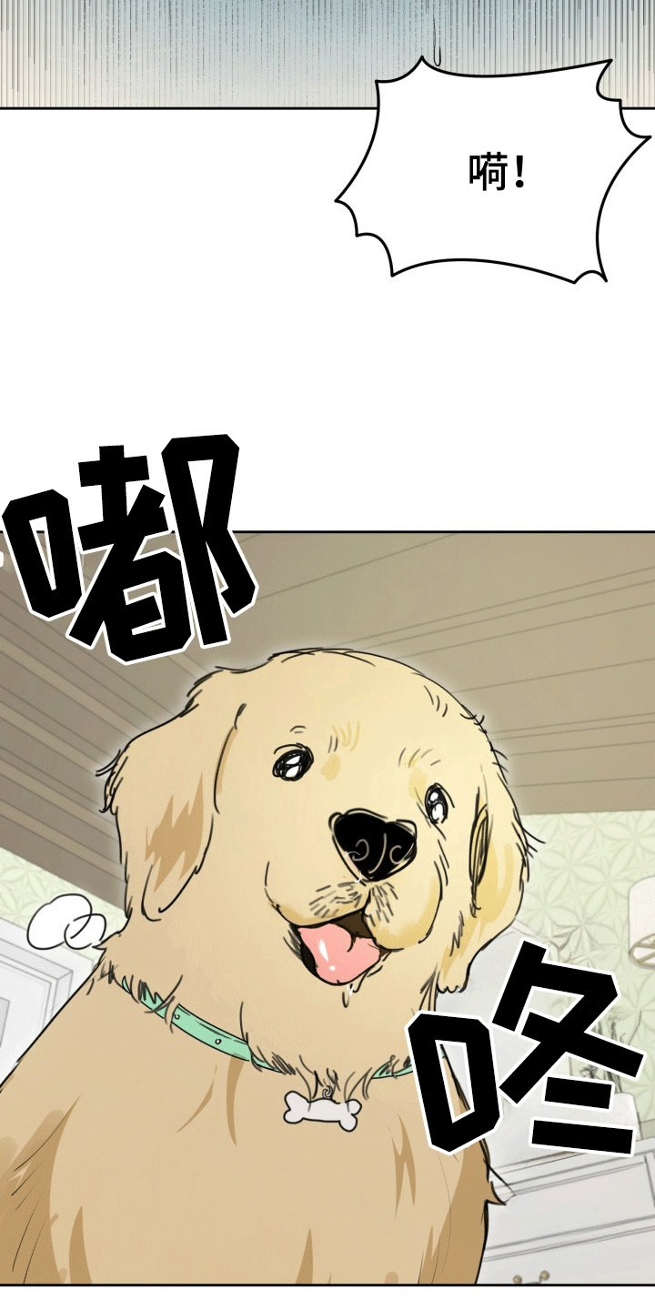 书呆子的双重生活小说漫画,第1章：梦境1图