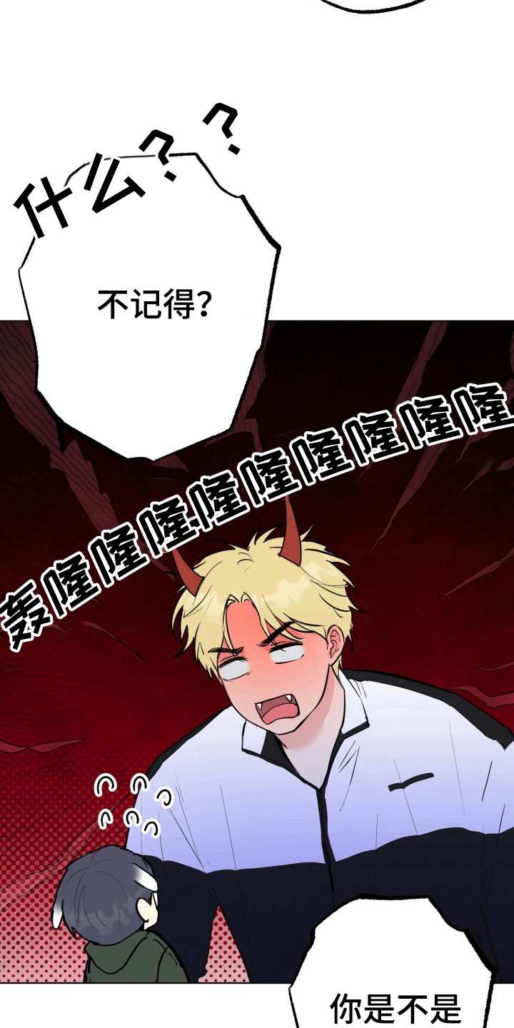 书呆子的生活日常漫画,第15章：烟花1图
